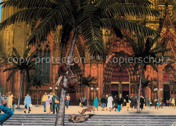 Koeln Rhein Deutschland unter Palmen Claudia Katz-Palme