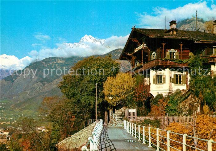 Merano Meran Pension Saxifraga