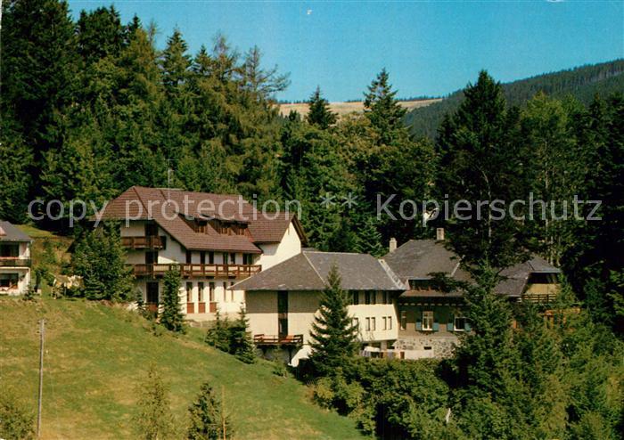 Todtnauberg Hotel Herrihof