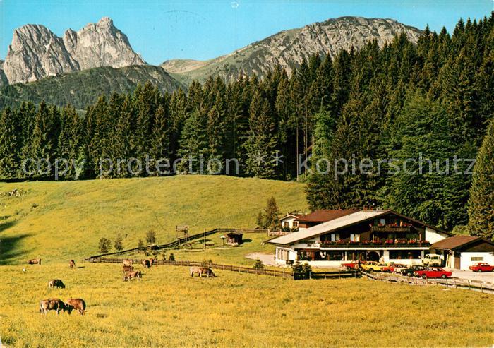 Pfronten Ostallgaeu Bayern Schlossanger Alp Aggenstein Breitenberg