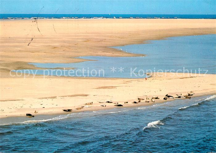 Nordsee Region Seehundbank in der Nordsee Fliegeraufnahme