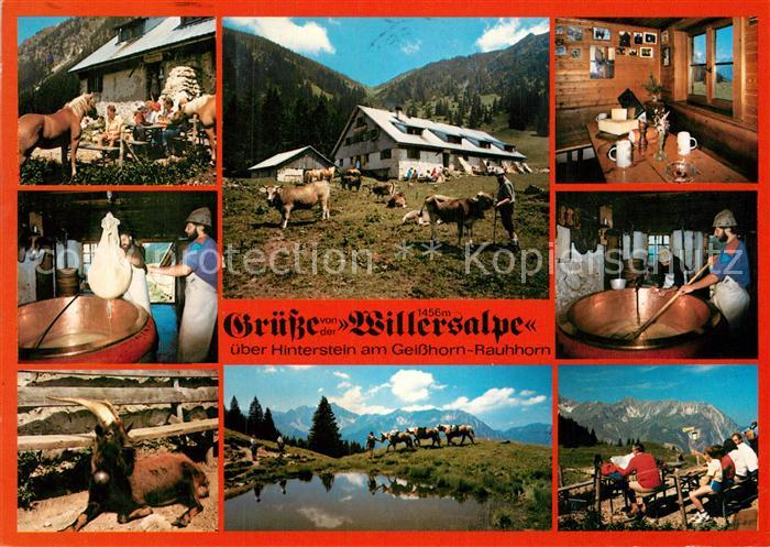 Hinterstein Bad Hindelang Willersalpe Teilansichten