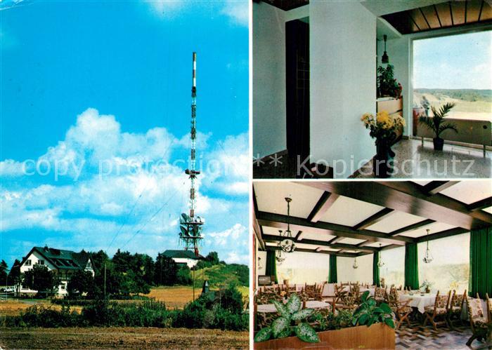 Fleckertshoehe Weiler Hotel Restaurant Fleckertshoehe Sendemast