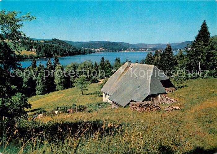 Titisee Panorama mit Schwarzwaldhaus