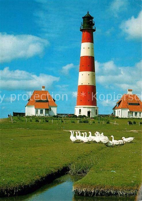 Westerhever Leuchtturm Gaenseschar