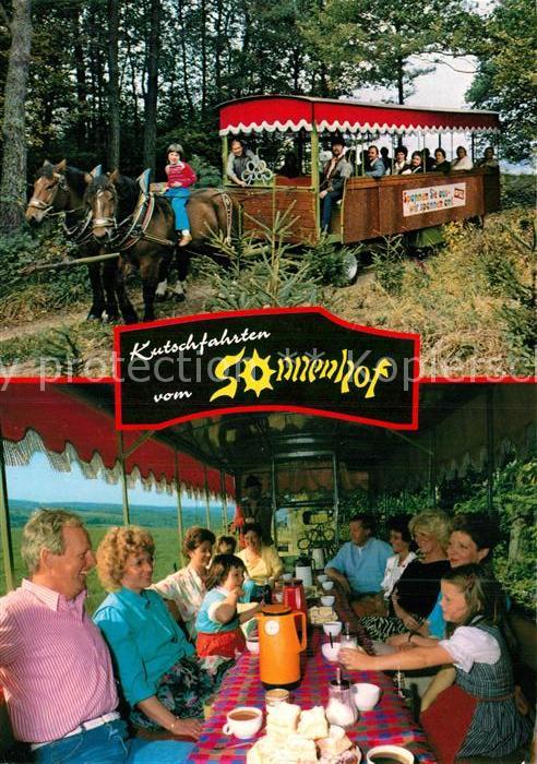 Geringhausen Sonnenhof Kutschfahrten