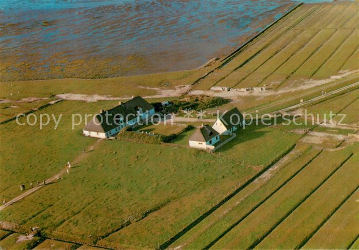 Hamburger Hallig Fliegeraufnahme Hallig Krug