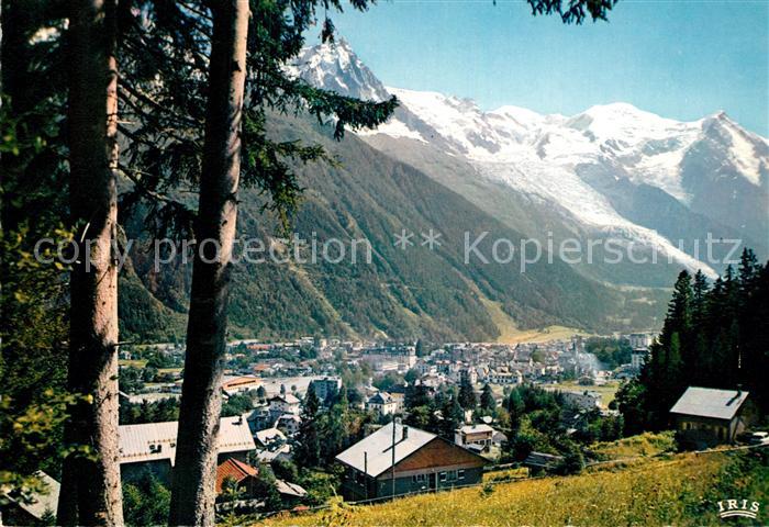 Chamonix Mont Blanc Vue generale