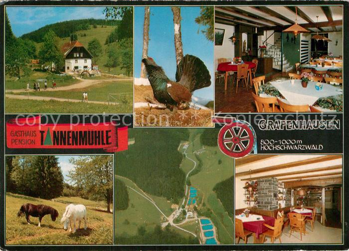 Grafenhausen Schwarzwald Gasthaus Tannenmuehle Auerhahn Pony