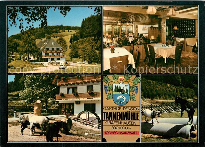Grafenhausen Schwarzwald Gasthaus-Pension Tannenmuehle