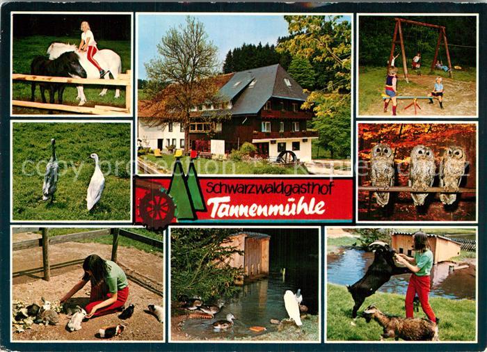 Grafenhausen Schwarzwald Schwarzwaldgasthof Tannenmuehle