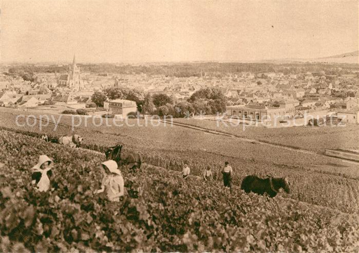 Reims Champagne Ardenne Vue generale Premier cru de raisins noirs