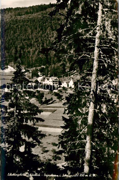 Baiersbronn Schwarzwald Erholungsheim Schoenblick