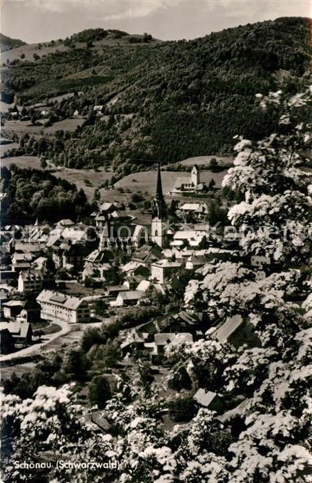 Schoenau Schwarzwald Panorama