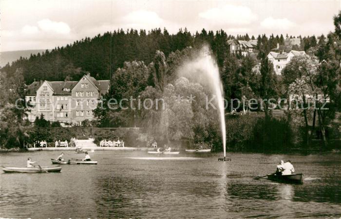 Braunlage Gondelteich