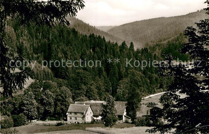 Ehlenbogen Mittlere Muehle