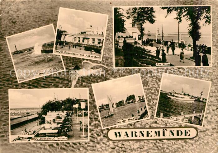 Warnemuende Ostseebad Am Strom Mole Strandhaus Terrasse Anker Bar