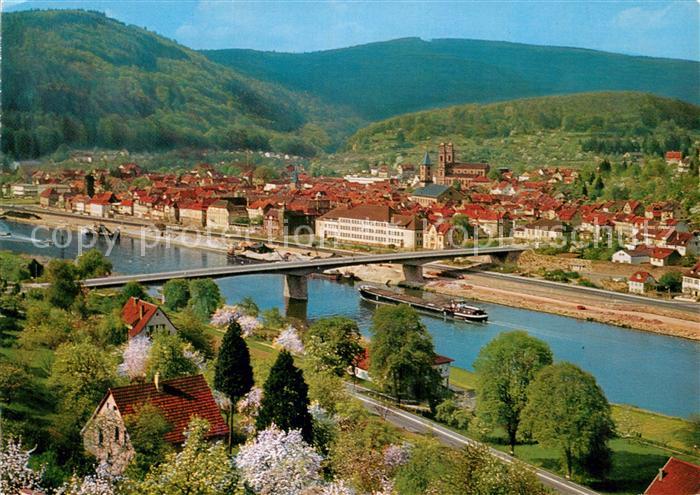 Eberbach Neckar Panorama