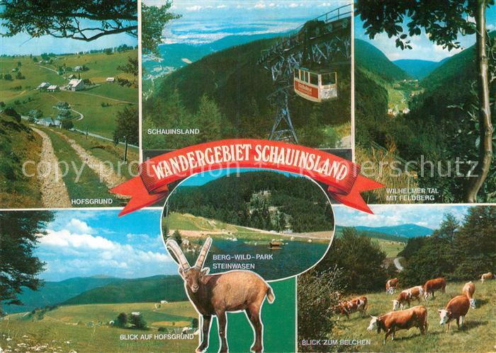 Schauinsland Wilhelmer Tal Feldberg Hofsgrund Steinwasen Park