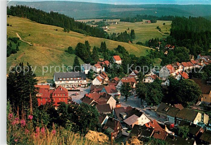 Altenau Harz Panorama
