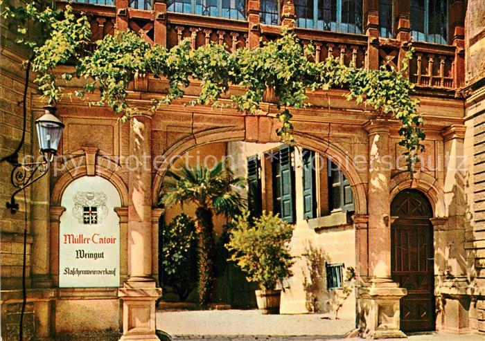 Neustadt Weinstrasse Weingut Mueller Catoir