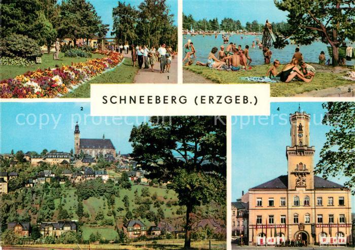 Schneeberg Erzgebirge Filzteich Kirche Rathaus