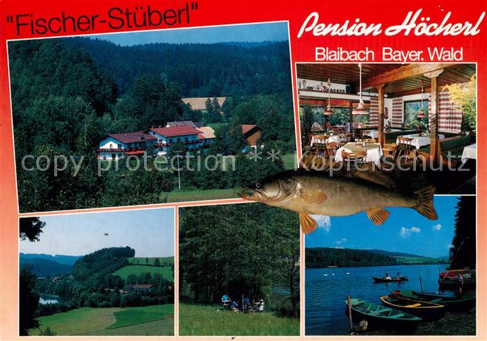 Blaibach Pension Hoecherl Fischer-Stueberl