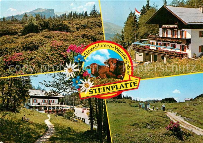 Waidring Tirol Alpengasthof Steinplatte