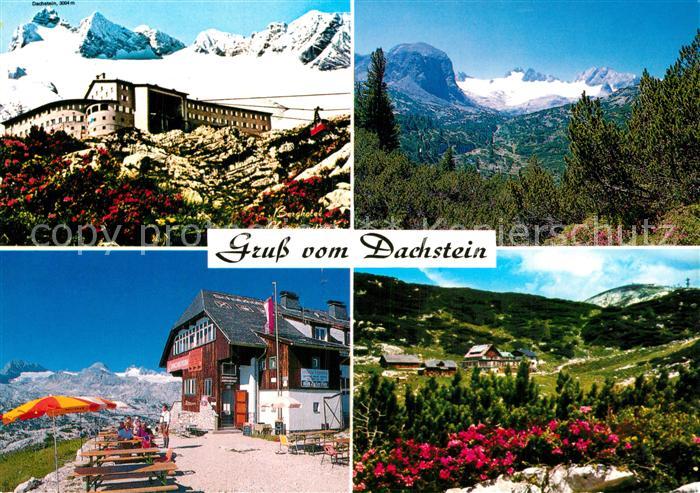 Dachstein Gebirge Berghotel Krippenstein Gjaidalm Schutzhuette Schilcherhaus