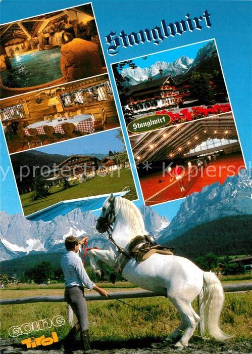 Going Wilden Kaiser Tirol Stanglwirt Millionenhengst Pluto Verona Lipizzaner