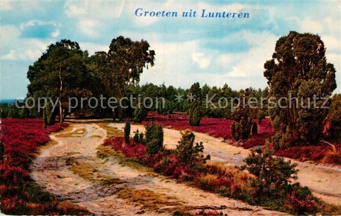 Lunteren