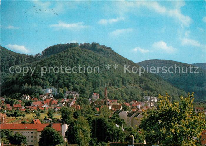 Bad Harzburg Teilansicht mit Burgberg
