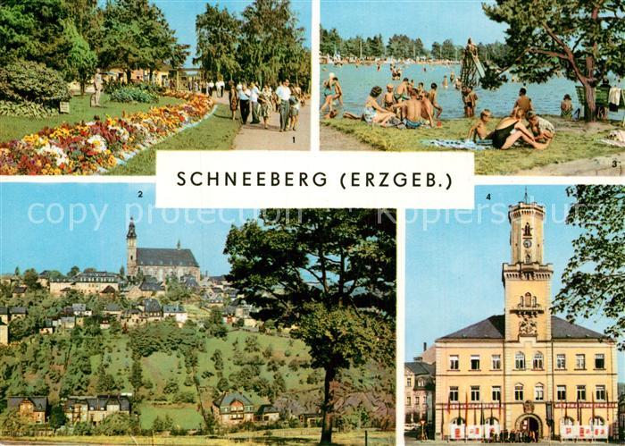 Schneeberg Erzgebirge Promenade Filzteich Kirche Rathaus