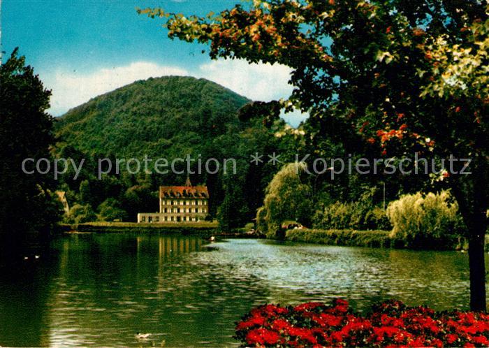 Bad Bergzabern Schwanenweiher