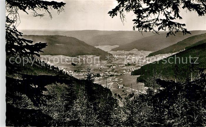 Kniebis Freudenstadt Blick vom Endriss Weg Murgtal
