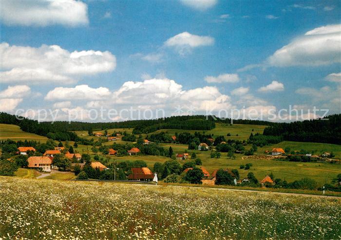 Grossherrischwand Panorama Hotzenwald