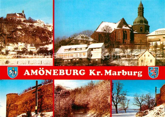 Amoeneburg Winterlandschaften