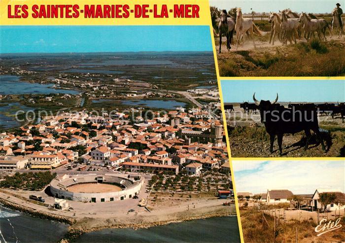Les Saintes-Maries-de-la-Mer Fliegeraufnahme Pferde Stier