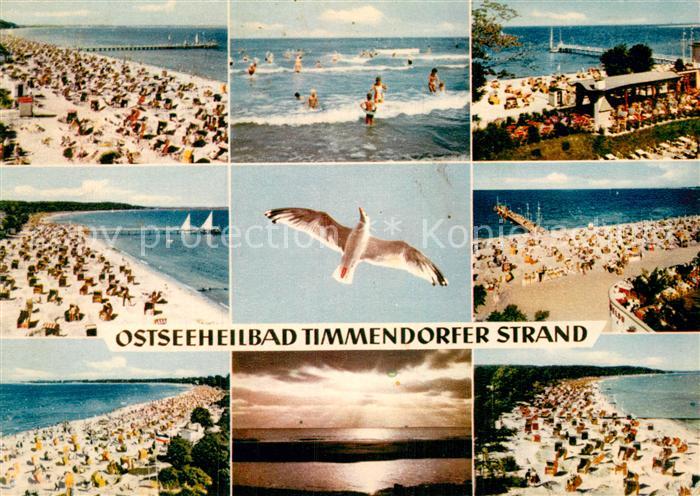 Timmendorfer Strand Badestraende Moewe