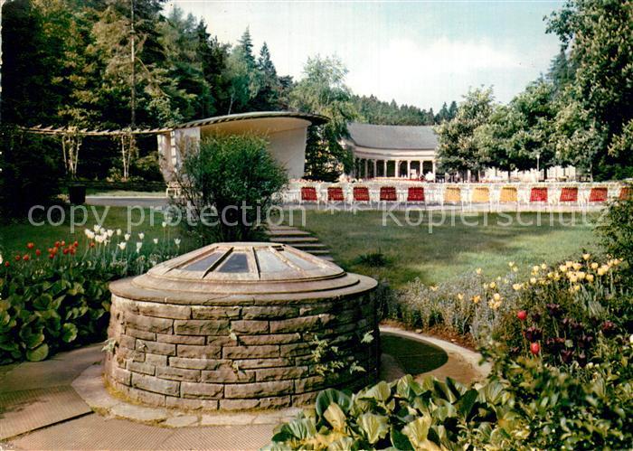 Wildungen Bad Viktorquelle Konzertpavillon Wandelhalle Kurpark