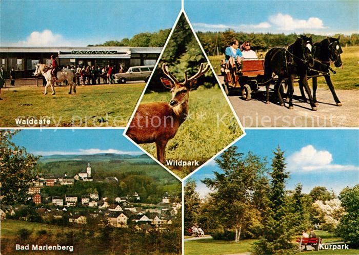 Bad Marienberg Waldcafe Wildpark Kurpark Pferdekutsche