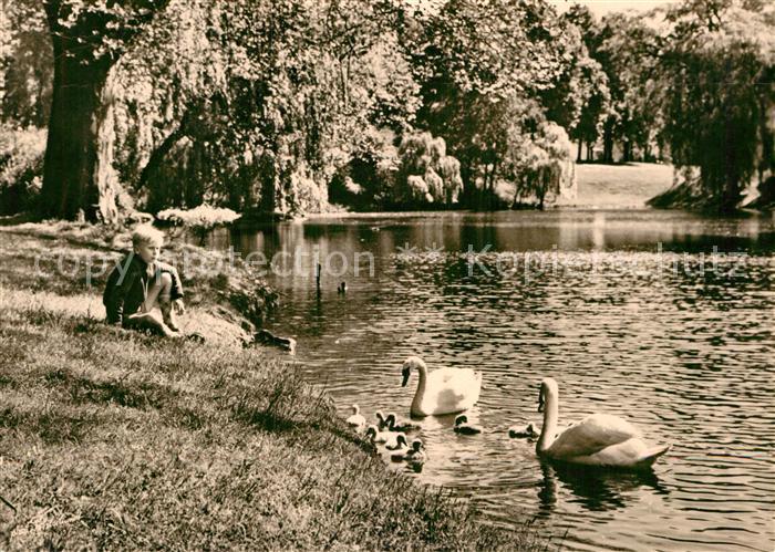 Muenster Westfalen Promenade Kanonengraben