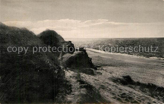 St Peter-Ording Duenen im Gegenlicht