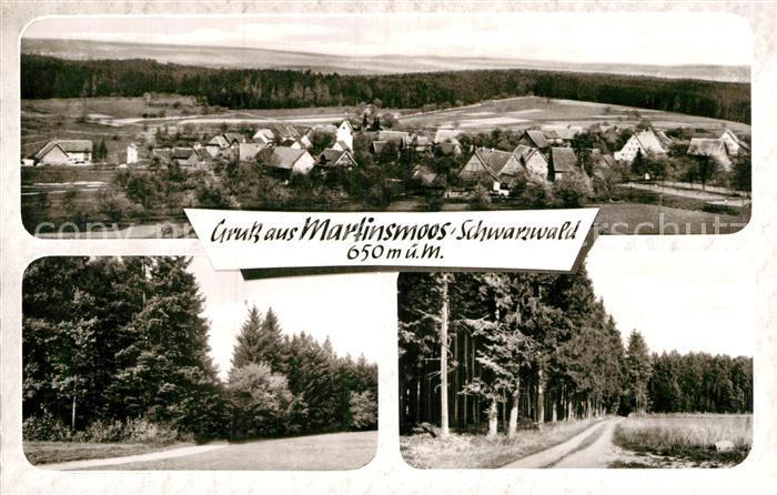 Martinsmoos Gesamtansicht Waldpartie