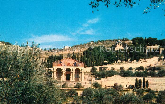 Jerusalem Yerushalayim Basilika Garten