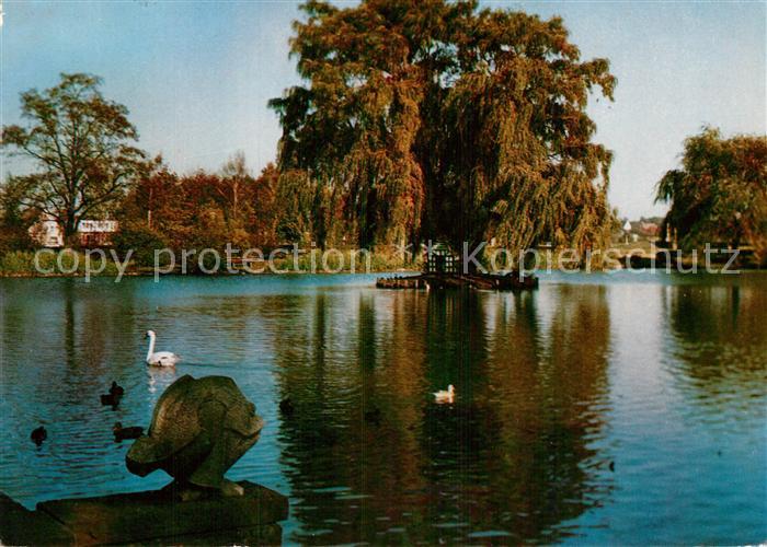 Buende Westfalen Schwanenteich im Steinmeister Park