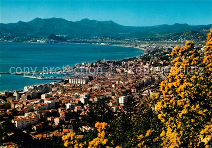 Cannes Alpes-Maritimes Panorama