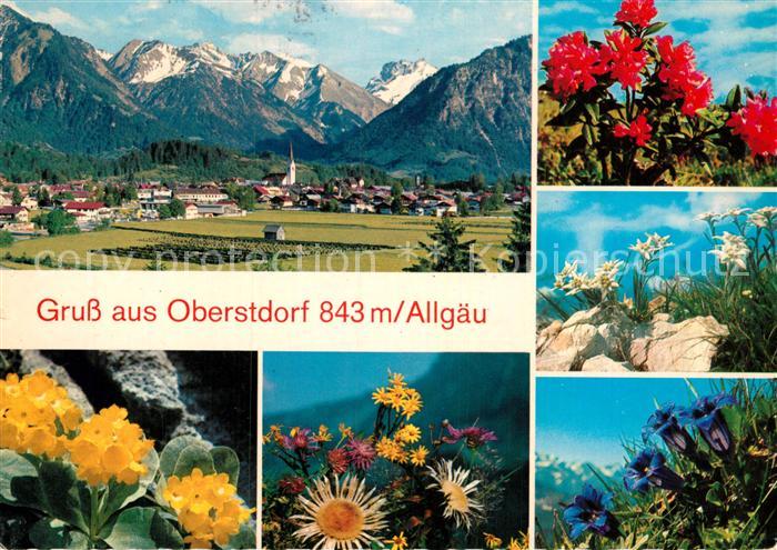 Oberstdorf Panorama Blumen
