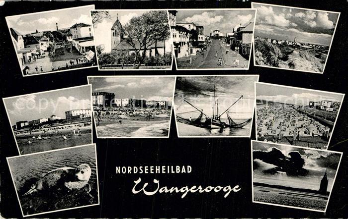 Wangerooge Nordseebad Strand Boot Seehund