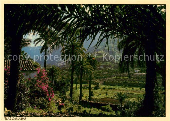 Islas Canarias